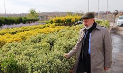 Başkan Çolakbayrakdar Fidanlığı Ziyaret Etti