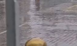 Iğdır'da Duygulandıran An: İstiklal Marşı'na Yağmurlu Eşlik