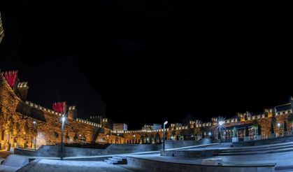 Tarihi Kayseri Kalesi'ndeki ağaçlar araştırılıyor