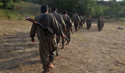 Silah Bırakan Terör Örgütü Üyeleri İçin Yeni Yasal Düzenleme